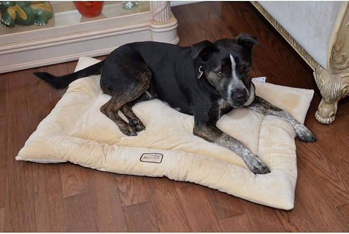 Plush Pet Bed Mat - Cozy Dog Bed, Cat Bed - Machine Washable, Fluffy Comfort - 27" x 19" Beige