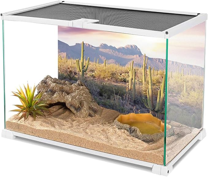 AWERT Reptile Habitat Background Blue Sky Oasis Mountain Cactus Sun and Desert Terrarium Background 30x18 inches