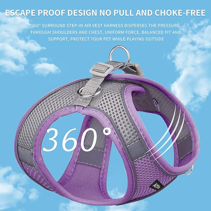 AIITLE Comfortable Dog Harness and Leash Set for Walking - Step in Vest Harness,Reflective Bands, Adjustable No Pull Puppy Essentials, for Small Dogs and House Cats Purple XS
