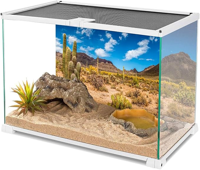 AWERT 72x24 inches Reptile Habitat Background Blue Sky Oasis Cactus Desert Terrarium Background Vinyl