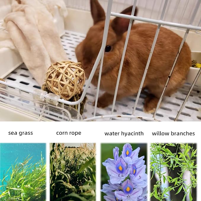30PCS Rabbit Grass Balls 1.96in Guinea Pig Balls Small Animal Activity Enrichment Toy for Bunny Chinchilla Hamster Gerbil Grinding Playing