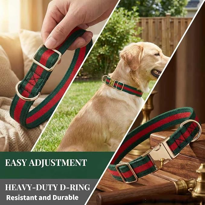 Premium Dog Collar, Cute Dog Collars Luxury Style, Durable Pet Collars with Metal Buckle Safety for Big Dogs