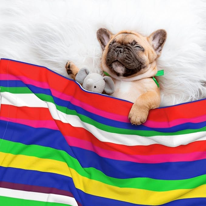 Dog and Cat Blanket in One, Novel Colorful Mexican Blanket Stripes, Double Sided Plush Throw with Raised Dot Pattern on One Side and Flat Velvet on Other for Variety