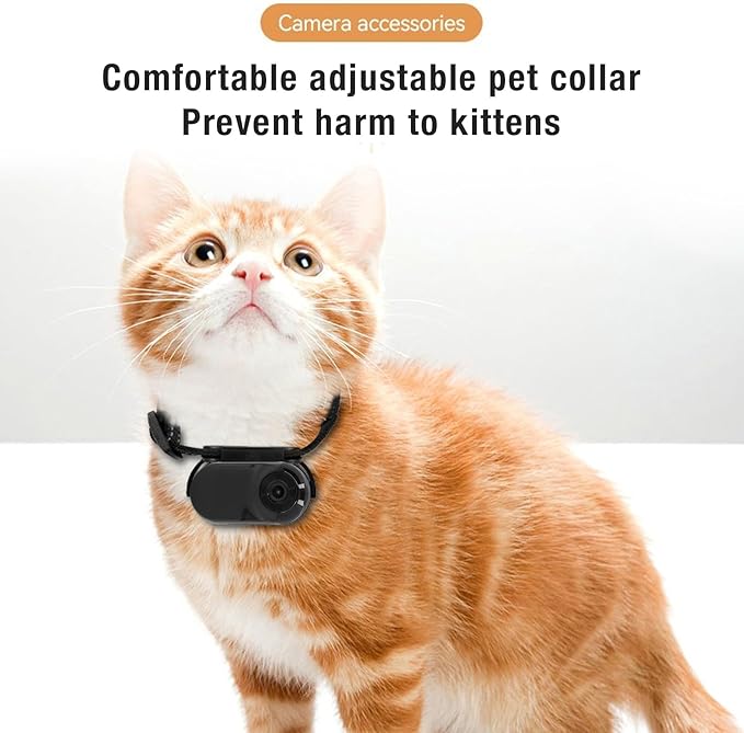 Cat Video Camera,Pet Collar Camera 120 Deg Lens OTG Connection Video Recording Adjustable Magnetic Cat Sport Camera for Outdoor 1920x1080P (Black)