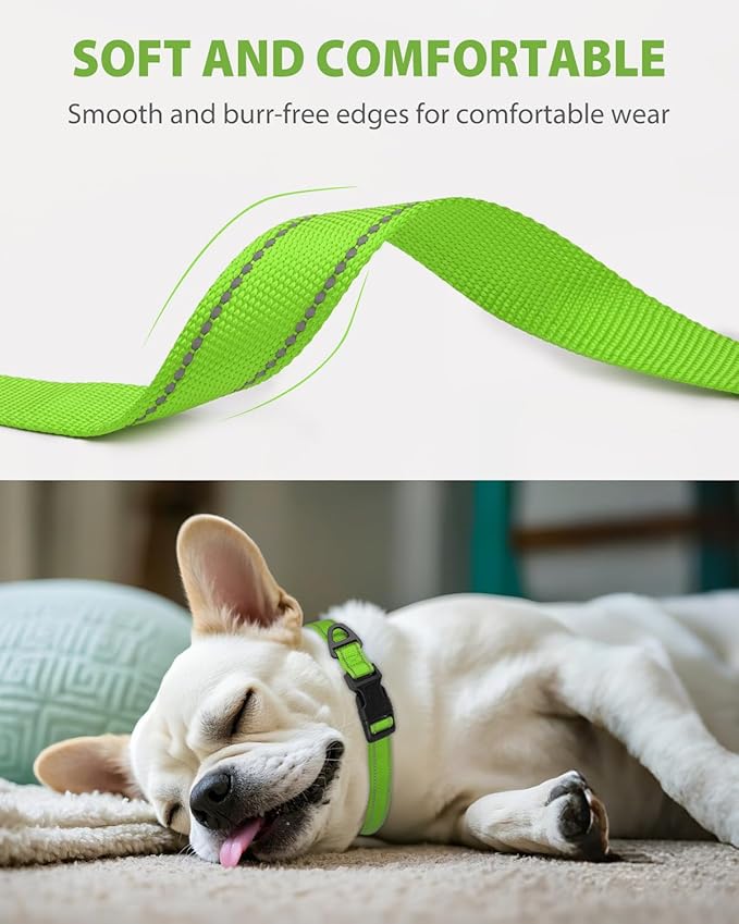 Joytale Small Dog Collar, Reflective and Adjustable Nylon Collar with Quick-Release Buckle, Lightweight No-Choke Design for Small Dogs, Green, 5/8" Width