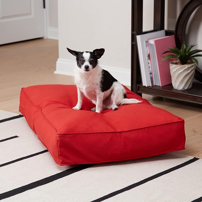 Casey Small (36 x 24 in.) Salsa Rectangle Indoor/Outdoor Pillow Style Dog Bed