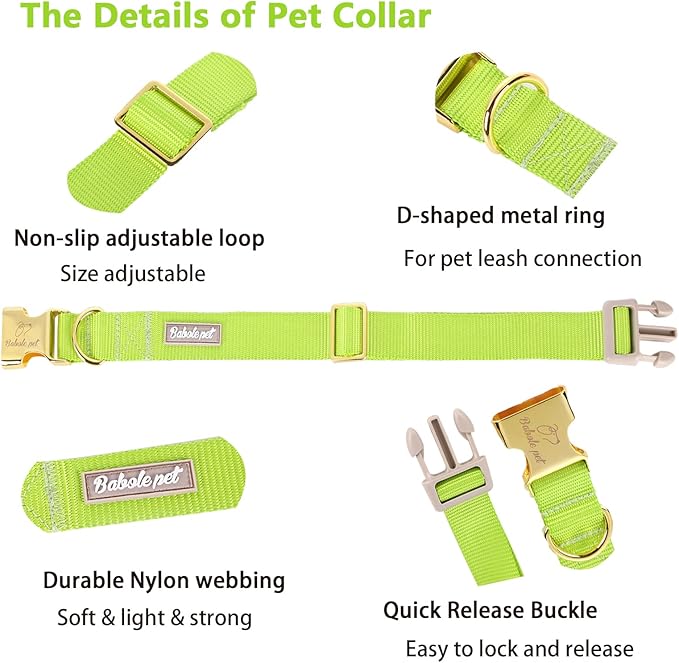 Nylon Dog Collar - Adjustable Fluorescent Green Soft Webbing Dog Collars for Small Medium Large Dogs Boy Girl Puppy Collar with Safety Metal Buckle M