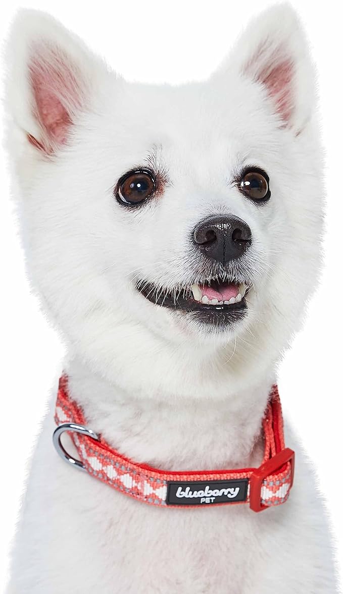 Blueberry Pet 3 Colors 3M Reflective Jacquard Neoprene Padded Adjustable Dog Collar, Coral