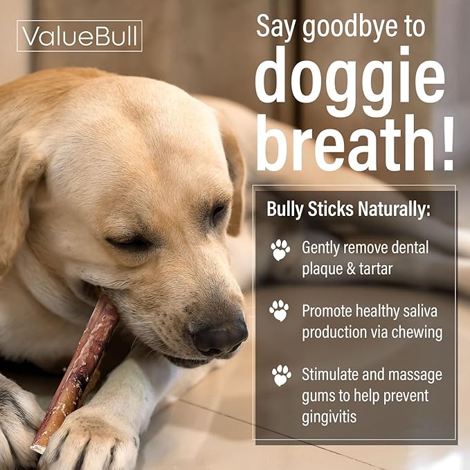 ValueBull Bully Sticks for Dogs, Medium 12 Inch, 200 Count Bulk Pack - All Natural, Grass Fed, Single Ingredient, Long Lasting Dog Treats
