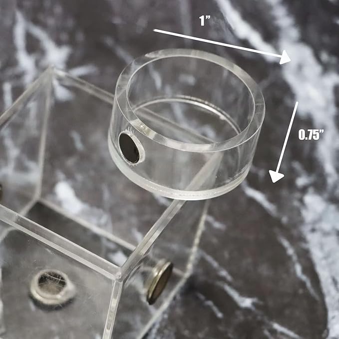 2Pcs Jumping Spider Feeding Dish, Magnetic Tiny Food Dishes Water Dish for Jumping Spider, Tarantula and Other Small Pets,Transparent