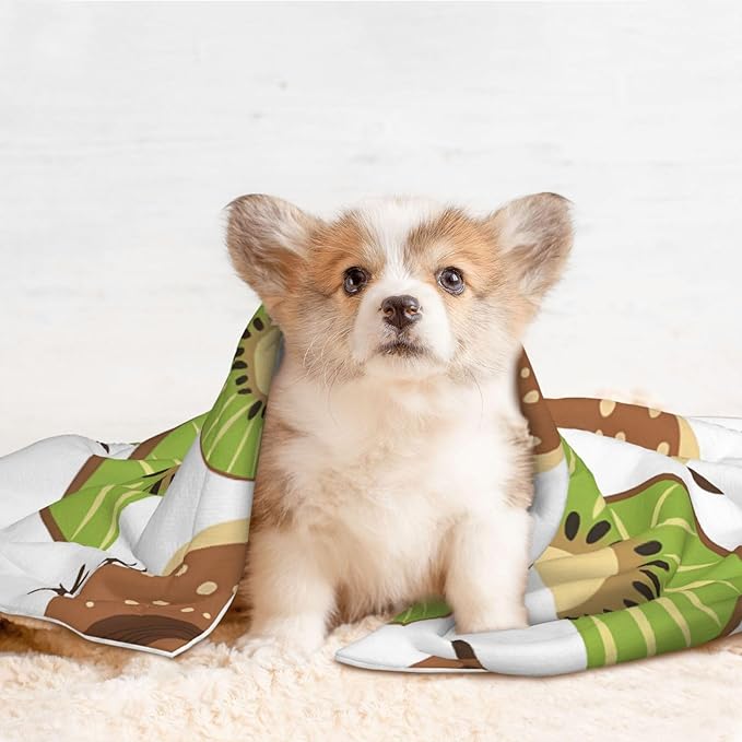Kiwi Birds Kiwi Fruit Slices Dog Blankets for Small Dogs, Puppy Blanket Cute Pet Blanket for Dog, Puppy, Cat, Kitten Large
