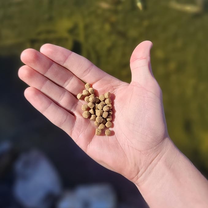 HALF OFF PONDS All Seasons Koi Fish Food - 30 lb Floating Pellets, 5mm Size - Goldfish Food for Ponds - 28% Protein with Wheat Germ & Vitamins - Ideal for Year-Round Feeding & Water Clarity