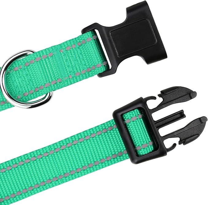 TagME Reflective Nylon Dog Collars, Adjustable Classic Pet Collar with Quick Release Buckle for Large Dogs, Turquoise, 1.0" Width