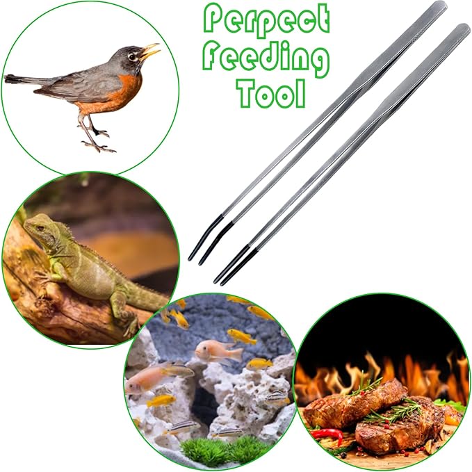 2Pcs Reptile Feeding Tong with Rubber Tip Aquarium Tweezers Stainless Steel Straight Curved Feeding Tong Long Handle Terrarium Feeder Tool for Tank Lizards Bearded Dragon Spider Snake