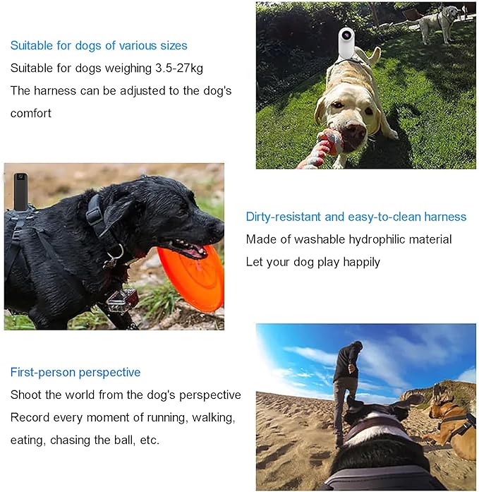 Pet Collar Camera, Dog Harness Camera, Live Viewing on Mobile Phone, WiFi Version for Dogs, Remote Operation, Strap Fixing Bracket, for Indoor/Outdoor