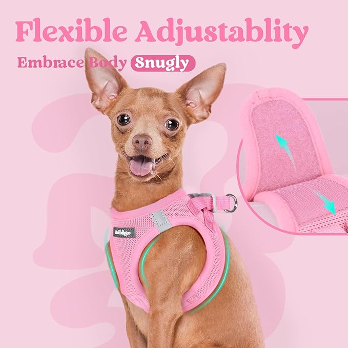 rabbitgoo Small Dog Harness, Step-in Soft Mesh Puppy Vest with Safety Buckle, Breathable Reflective Pet Harness for Small Medium Dogs, Light Pink XL