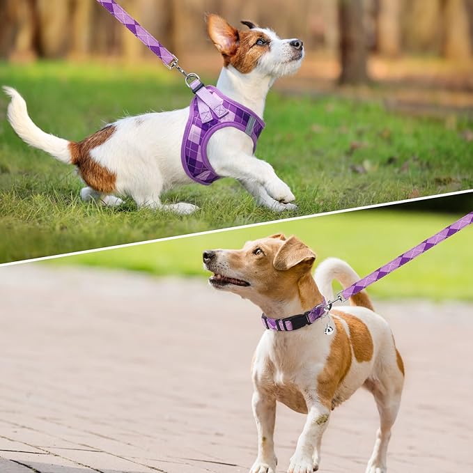 SCENEREAL Small Dog Harness and Leash Collar Set, Step in No Pull Soft Mesh Dog Harnesses for Small Medium Sized Dogs Puppy and Cats Outdoor Walking, No Chock Reflective Vest Harness, Purple Plaid M