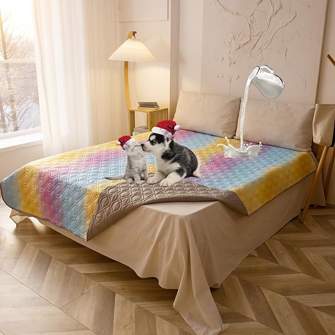 100% Waterproof Dog Bed Cover 120x82 inch Reversible Changing Pad Reusable Camping Mat for Kids/Pet/Dog/Cat Washable Geometric Embroidery Blanket Patchwork Rainbow Ombre Printed+Gray