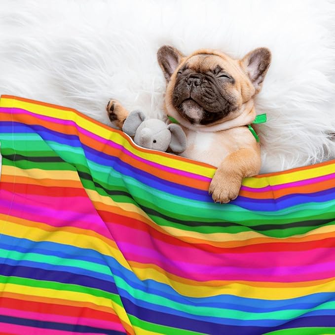 Pet Blanket for Travel and Home, Novel Colorful Mexican Blanket Stripes, Reversible Plush Dot Design with Soft Grip Texture on One Side Perfect for Car Seats Moving Vehicles