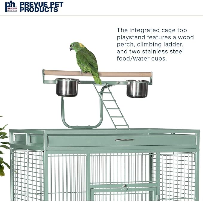 Suburban Sophistication Playtop Bird Home with Spacious Design, Durable Materials, Removable Perches Medium/Sage Green