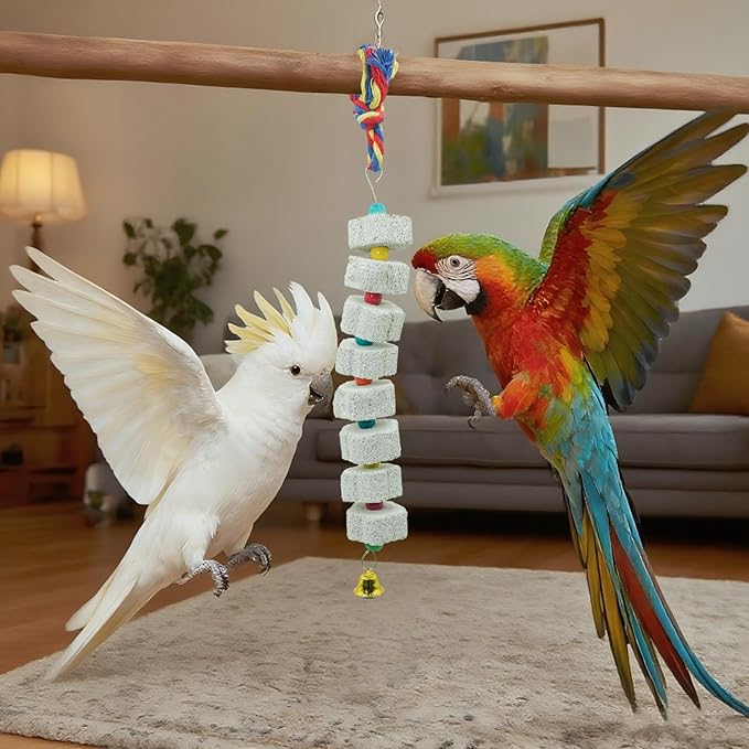 2 Pack Extra Long Chicken Chewing Toys with Beads and Bell, 27" Calcium Beak Grinding Stone for Cage, Bird Toys for Parrots, Budgies, Hamsters, Rabbits