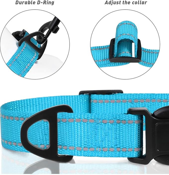 TagME Small Dog Collar, Adjustable Reflective Nylon Pet Collar with Quick Release Buckle, Sky Blue, 5/8" Width