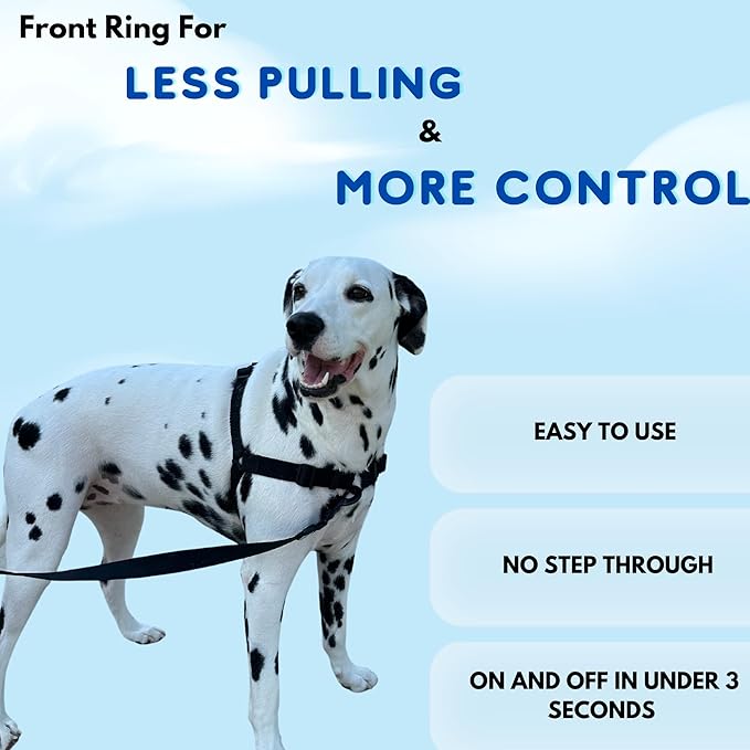 ShawnCo Dream Walk No-Pull Dog Harness- Adjustable, Comfortable, Easy to Use Pet Halter to Help Stop Pulling for Small, Medium and Large Dogs (Oceanic Blue, S)