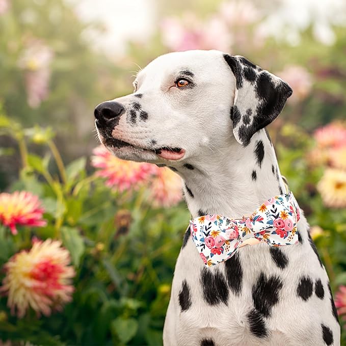 Lionheart glory Dog Collar Bow Collar Floral Dog Collar with Bow Tie Spring Summer Cute Collar Dog Boy or Girl Dog Collars Soft Durable Adjustable Dog Collars for Large Dogs