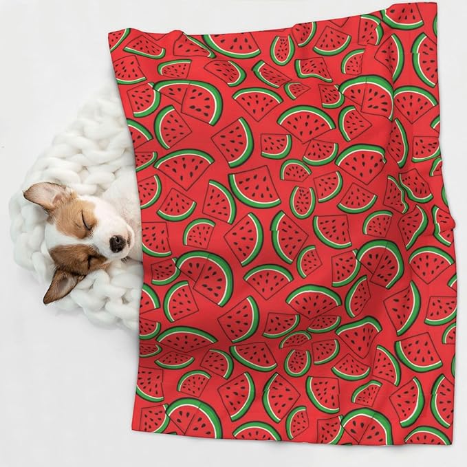 Reversible Dog Blanket for Beds Couches, Summer Fruit Red Green Watermelon, Double Sided Cat Blanket with Textured Dot Feel and Smooth Feel for Seasonal Comfort All Year