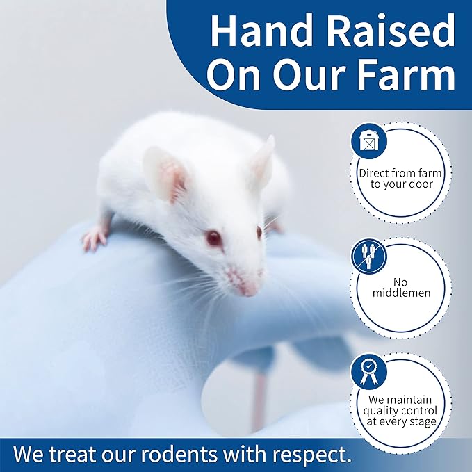 MiceDirect EST. 2003 200 Frozen Mice Combo Pack of 100 Weanlings and 100 Small Adult Feeders Snake Food for Adult Sand Boa Corn Milk Snakes (2-3 in)(3200 Grams Min)
