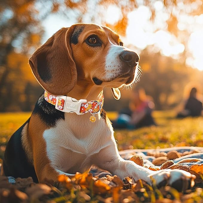 Fall Dog Collar Vintage Daisy Puppy Collar - Hippie Flower Dog Collars Light Comfortable Adjustable Pet Collars for Small Medium Large Girl Boy Dogs XS