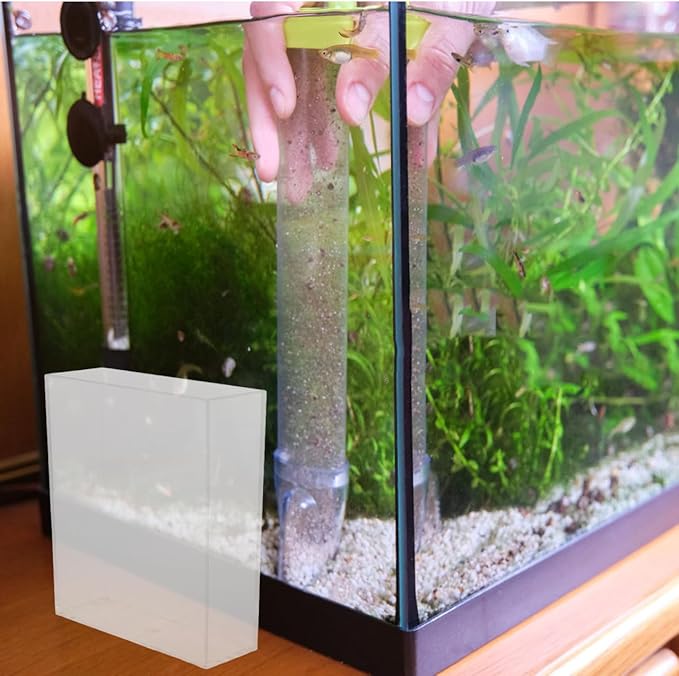 Kisangel Portable Fish Observation Container for Viewing Betta Aquariums Breeding Boxes and Small Fish Tanks Lightweight Versatile and Easy to Use