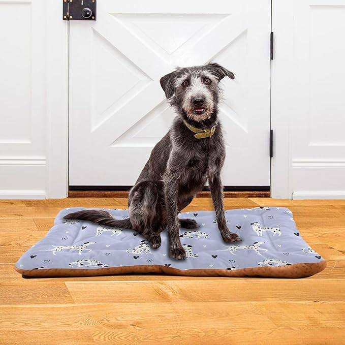 Funny Cartoon Dalmatian Dogs Pet Bed Cute Dog Bed Mat Absorbing Non Slip Pad Pet Sleeping Mat for Small, Medium, and Large Dogs Puppy Cat 24 in x 18 in