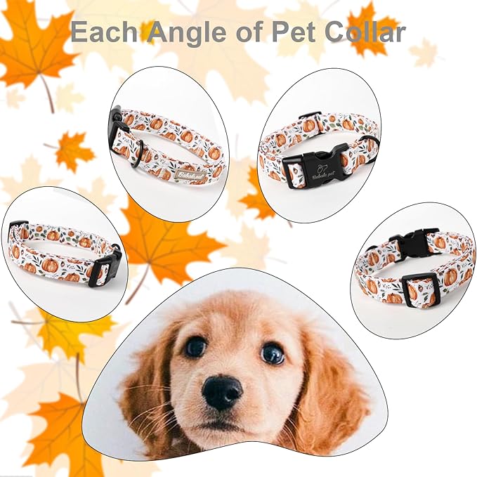 Fall Dog Collar, Cute Orange Pumpkin Pattern Puppy Collar, Soft Comfort Adjustable Holiday Thanksgiving Dog Collars for Small Medium Large Boy&Girl Dogs M