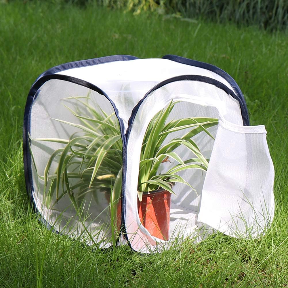 Insect and Butterfly Habitat Cage Terrarium Pop-up 12 X 12 X 12 Inches