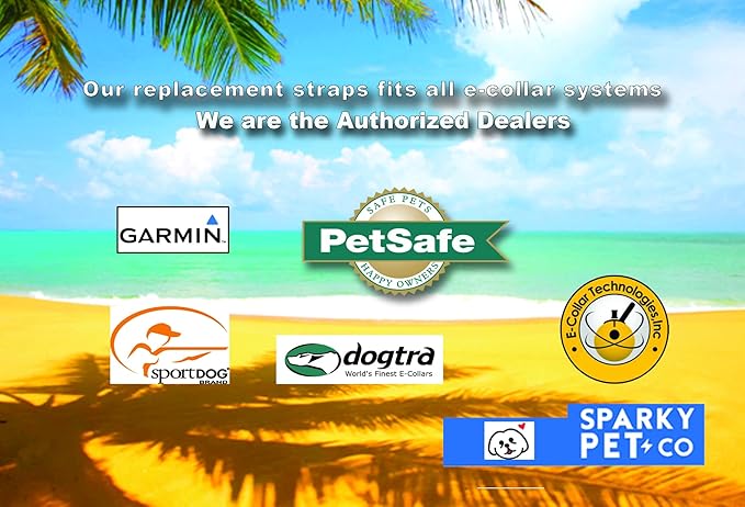 Sparky Pet Co - Surefit ECollar Replacement Strap - Bungee Dog Collar - Waterproof - Adjustable - Secure Nexus Wheel Lock - for Electronic Training & Invisible Fence Systems - 1" (Reflective Blue)