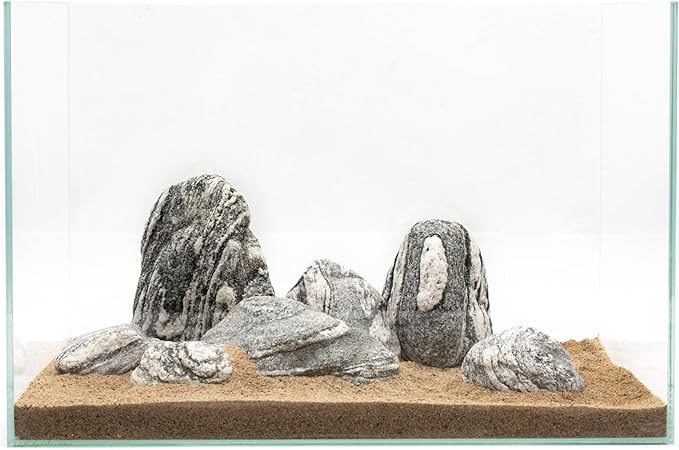 Natural Rocks Aquarium Stone 20lb Silver Seiryu Rock for Fish Tanks, Terrariums, Bonsai, Garden Decoration, Micro Landscapes & Reptile Terrariums (2-9inch 7-8Pcs)