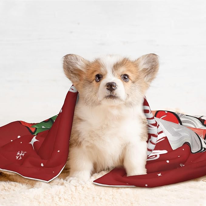 Happy New Year Throw Blanket - Red Xmas Blanket for Dog Cat Pet 40x30 Santa Blankets for Couch Sofa Bed