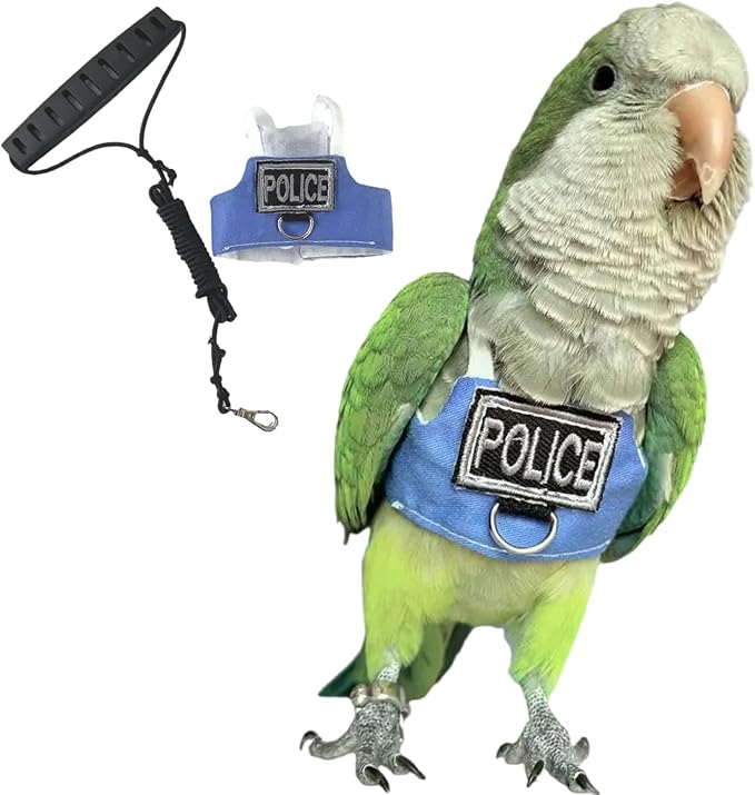 Bird Flight Harness Vest, Parrot Flight Suit with Leash, Bird Flying Clothes with Rope and Handle for Outdoor Activities (with Leash,Caique)