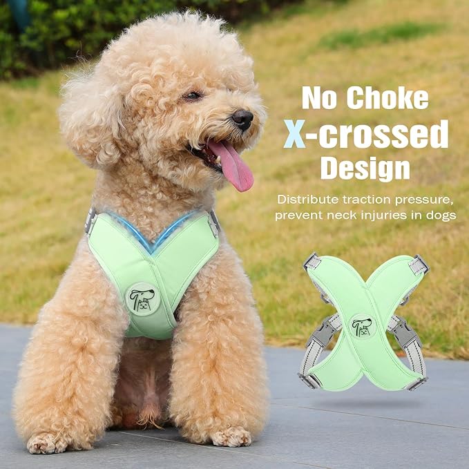 Pawaboo Small Dog Harness and Leash Set, Puppy Harness X-Frame No Pull No Choke, Dog Vest Harness Adjustable for Small Medium Sized Dogs, Soft Breathable Pet Harness for Walking Outing, S, Mint Green