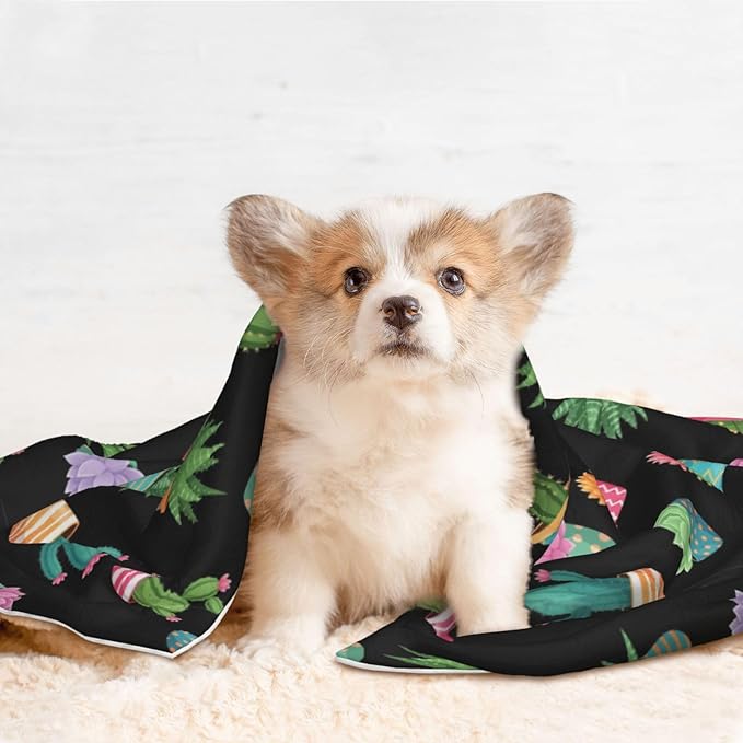 Two Sided Pet Cuddler Blanket for Anxiety Calming, Succulent Cactus Potted Plants, Reversible Plush Design with Bubble Dot Pattern Provides Familiar Surface Anywhere
