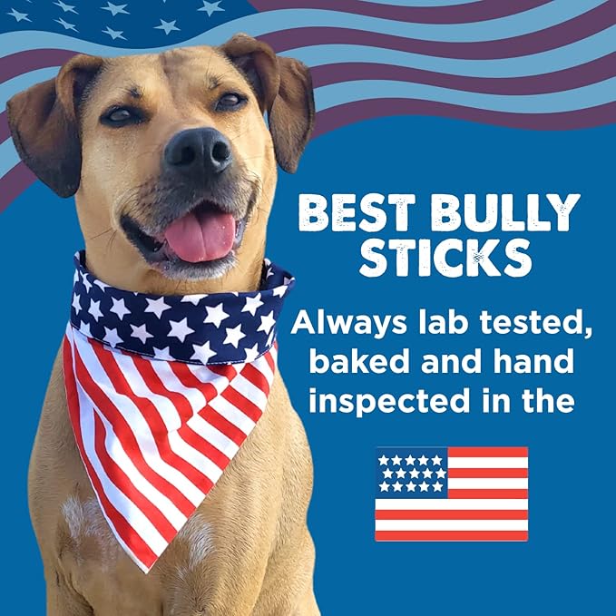 Best Bully Sticks Premium 6 Inch Beef Trachea - 20 Count (Pack of 1) - All-Natural, Grain-Free, Single-Ingredient, Supports Dental Health