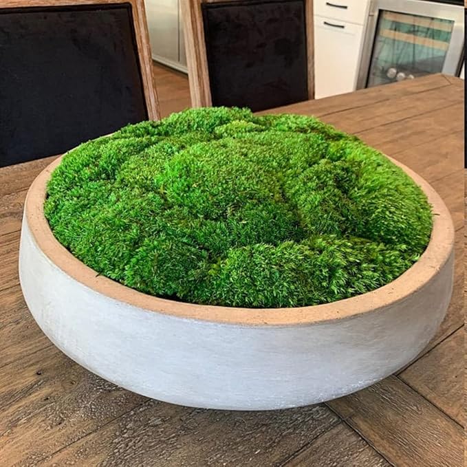 Preserved Pole Moss Pillow Bun Cushion Natural Green Decorative Real Natural Green DIY Kit Terrariums Gardenning Art Wall Decor Florist Decor Easter Table Decor Wedding(9.0 sq.ft., Green-B)