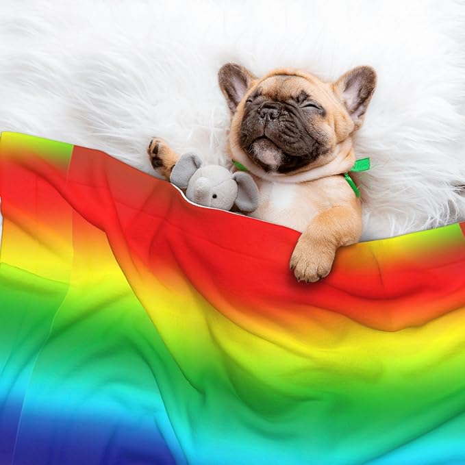 Pet Blanket for Couches and Beds, Colorful, Reversible Double Sided Plush Design with Soft Bumpy Texture and Smooth Surface, Furniture Protector