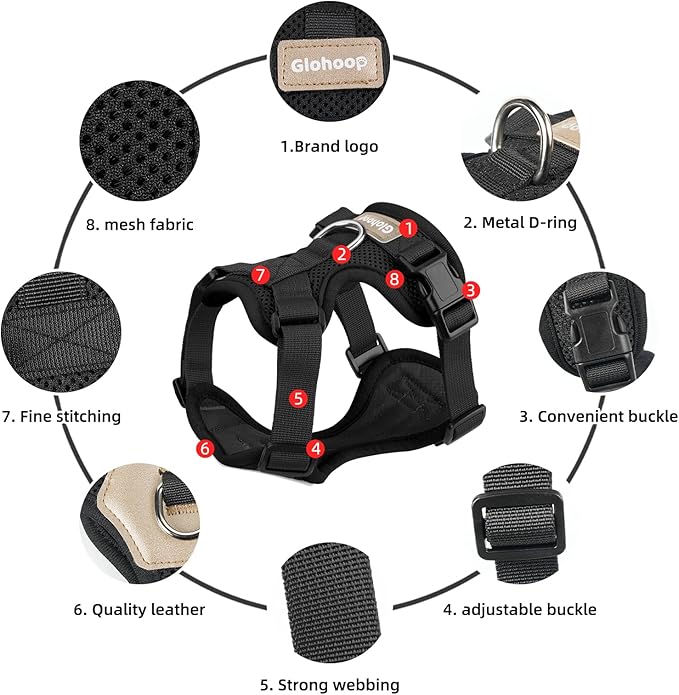 Small Dog Harness and Leash Set, Breathable Mesh Puppy Harness, Adjustable Dog Harness for Small Medium Large Dogs, No-Pull Pet Harness for Daily Walking (Black, Small)