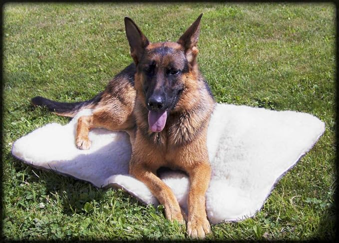 ActiveDogs Hi Loft Sherpa Faux Lambskin Dog Bed - X-Large 36"x50" - Orthopedic & Machine Washable - Double Layered