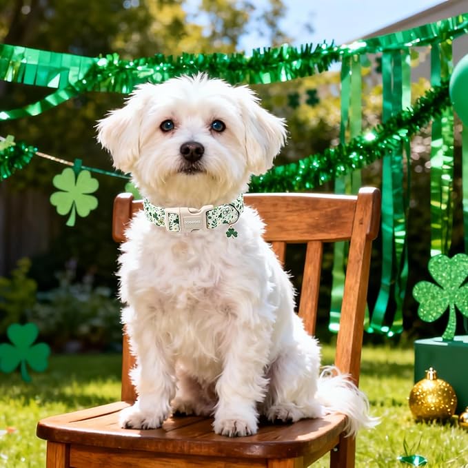 DOGWONG St Patrick's Dog Collar, Green Clover Pet Collar Cotton Holiday Pet Collar Cute Puppy Collar Adjustable Pet Dog Collars for Large Dogs,XL