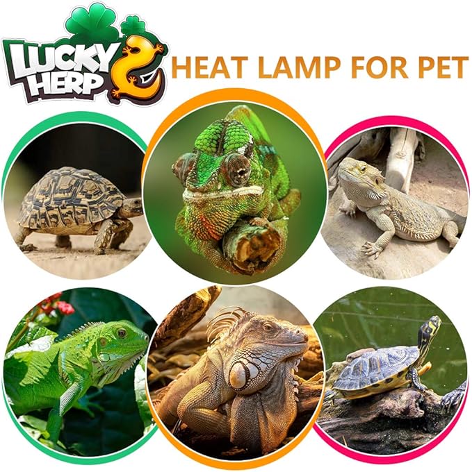LUCKY HERP 160 Watt UVA+UVB Vapor Heat Lamp Bulb, High Intensity Self-Ballasted Heat Basking Lamp/Bulb/Light for Reptile and Amphibian, Sun Lamp for Bearded Dragon Lizard Turtle