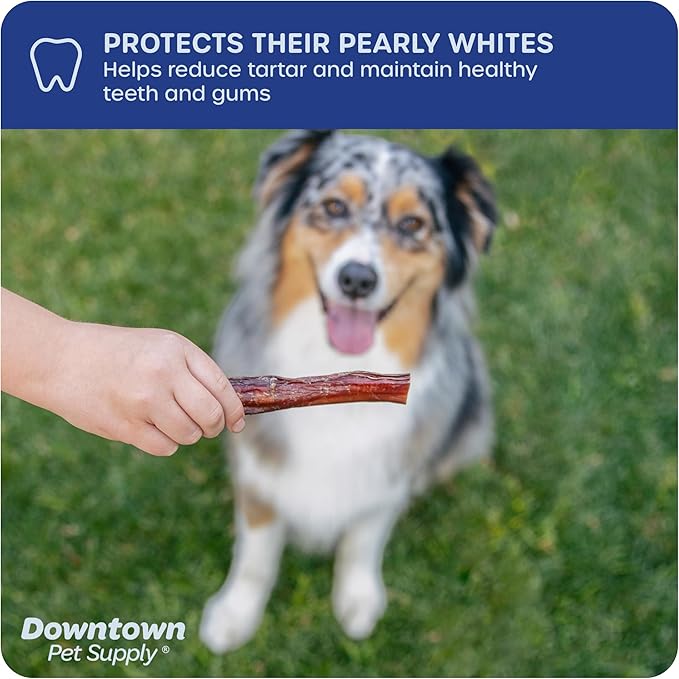 Downtown Pet Supply USA Sourced Bully Sticks for Dogs - Grass-fed Beef Chews, Low-Odor & Rawhide-Free, Long Lasting Dog Treats - Healthy, Safe & Delicious Chews (6" 10 Pack)