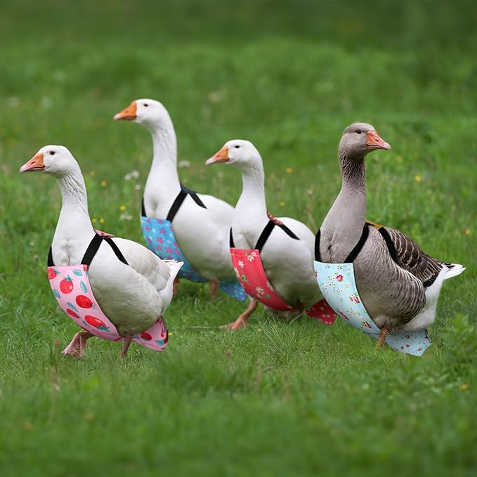 6 Pcs Chicken Diapers for Hens Rooster Ducks Reusable Washable Duck Diapers with Bow Tie for Ducklings Hens Goose Poultry Adjustable Clothes for Hen Rooster Chicken(Classic,L)